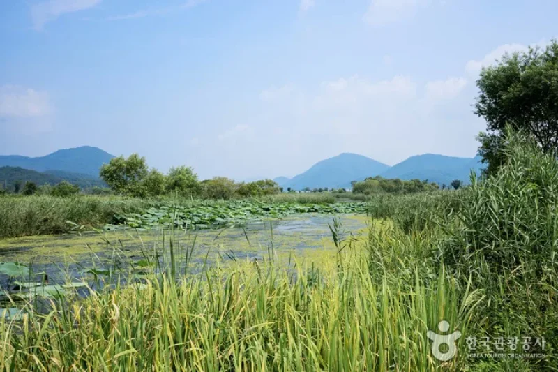 Namyangju Joan [Slow City] (남양주 조안)