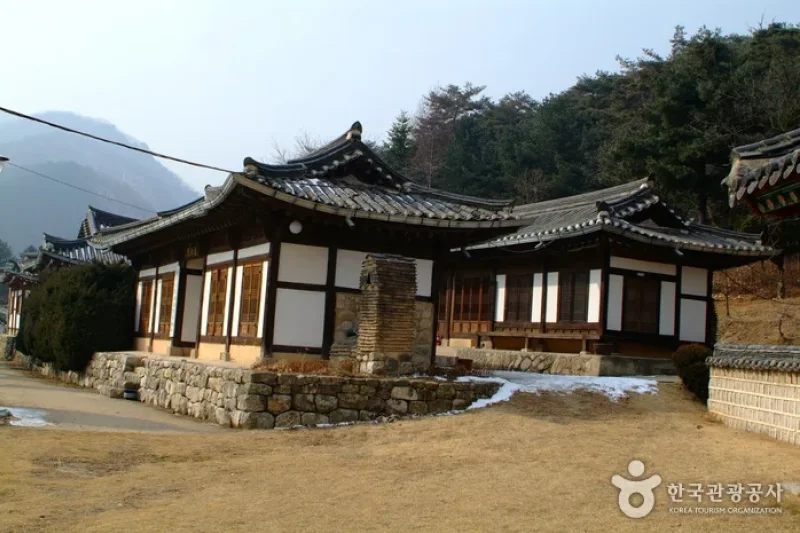 Graveyard of Sinjangjeolgong  (6/8)