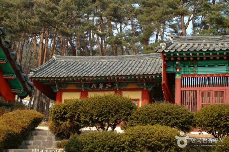 Graveyard of Sinjangjeolgong  (7/8)