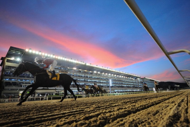 Night at the Races  (1/5)
