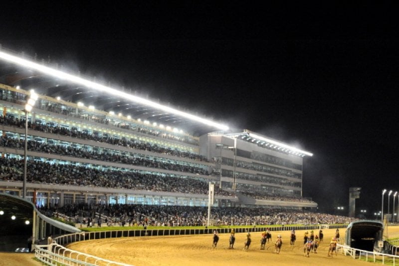 Night at the Races  (2/5)