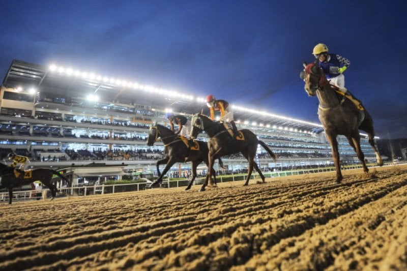 Night at the Races  (3/5)