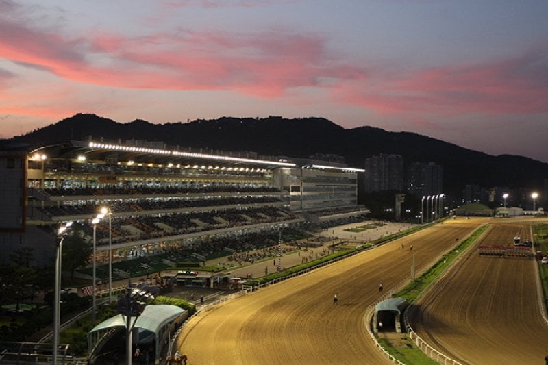 Night at the Races  (4/5)