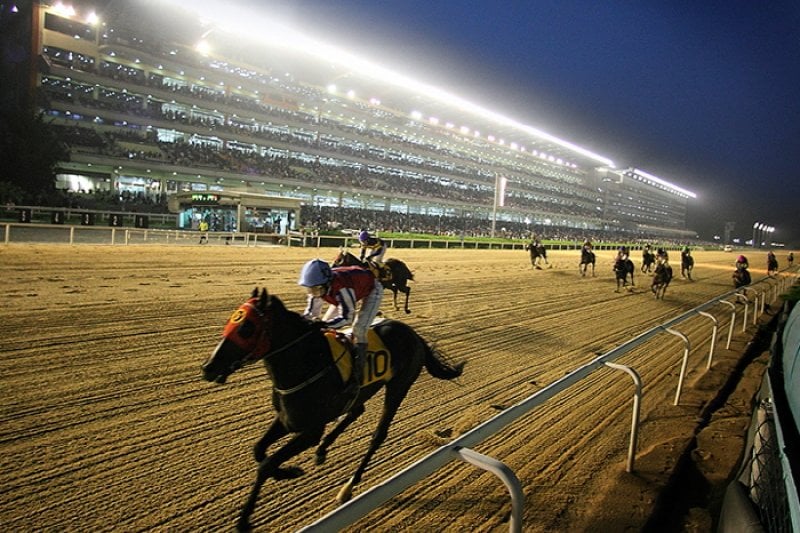 Night at the Races  (5/5)