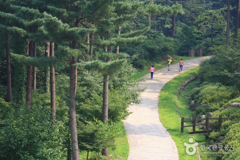 Jatyanggi Purunsup Resort  (3/6)