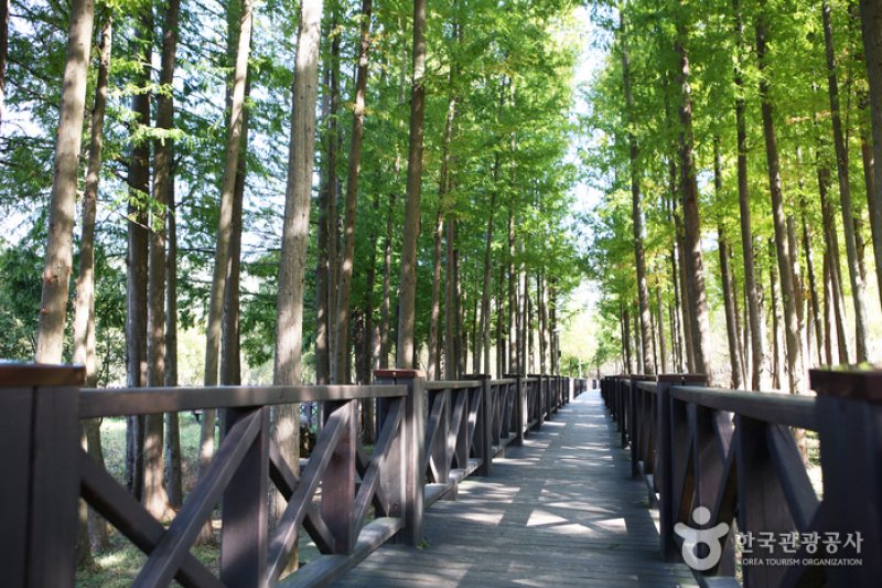 Gwangjuho Lake Eco Park (광주호 호수생태원) (16/20)