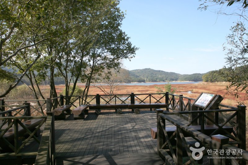 Gwangjuho Lake Eco Park (광주호 호수생태원) (17/20)