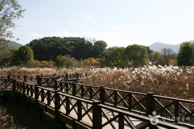 Gwangjuho Lake Eco Park (광주호 호수생태원) (18/20)