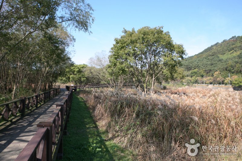 Gwangjuho Lake Eco Park (광주호 호수생태원) (19/20)
