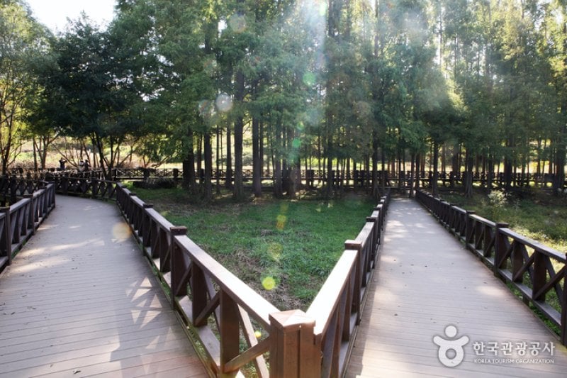 Gwangjuho Lake Eco Park (광주호 호수생태원) (20/20)