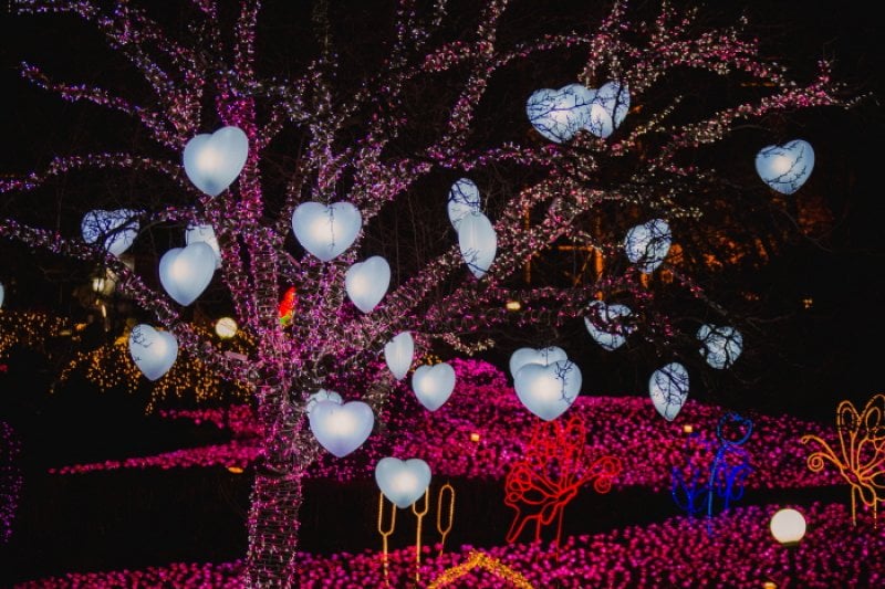 E-World Starlight Festival  (53/58)