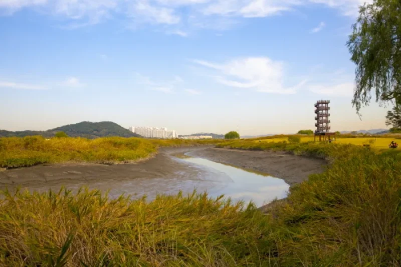 Siheung Gaetgol Eco Park  (23/25)