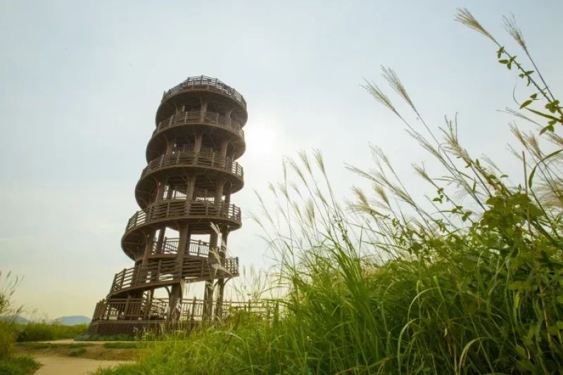 Siheung Gaetgol Eco Park  (24/25)