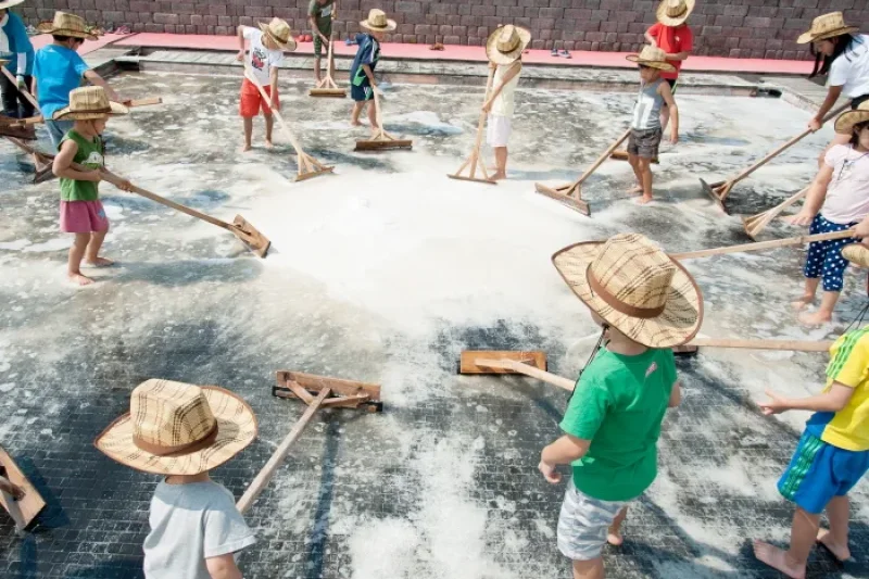 Siheung Gaetgol Eco Park  (25/25)