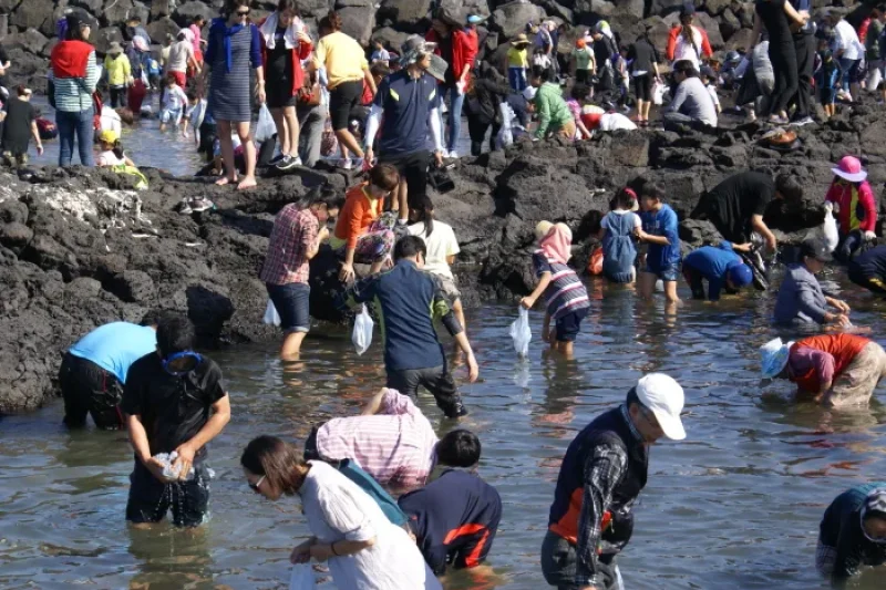 Jeju Haenyeo Festival  (3/3)