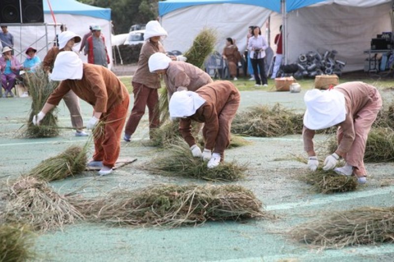 Jeju Seongeup Village Tradition Reenactment Folk Festival  (5/7)