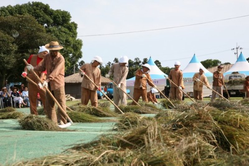 Jeju Seongeup Village Tradition Reenactment Folk Festival  (6/7)