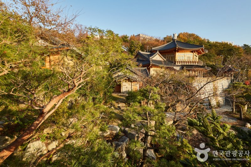 Sonanggo Pension (소낭구펜션) [한국관광품질인증제/ Korea Quality] (18/26)