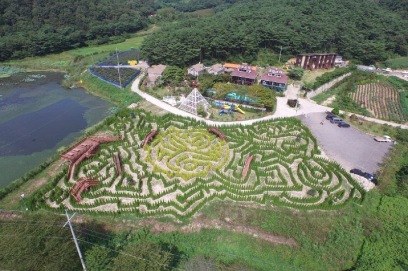 Underwind Tourist Farm  (바람아래관광농원) [한국관광품질인증제/ Korea Quality] (4/31)