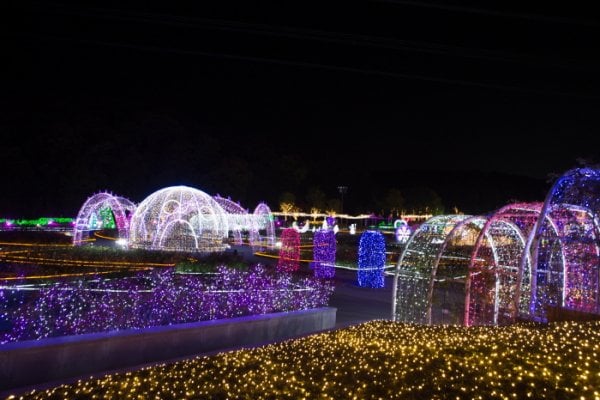 Ulsan Grand Park Light Festival