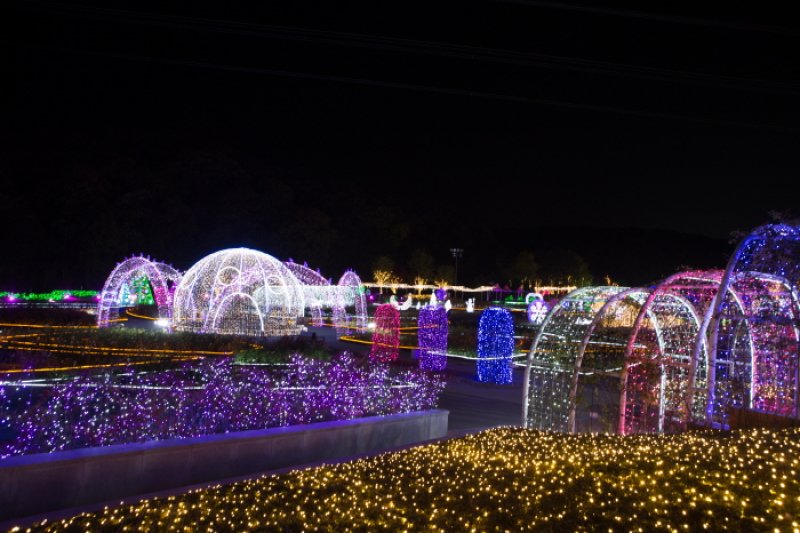 Ulsan Grand Park Light Festival  (3/8)