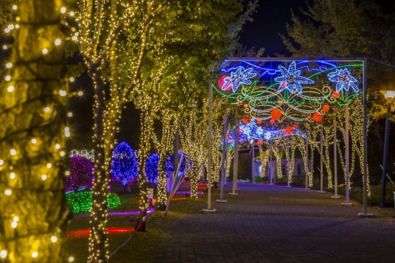 Ulsan Grand Park Light Festival  (4/8)