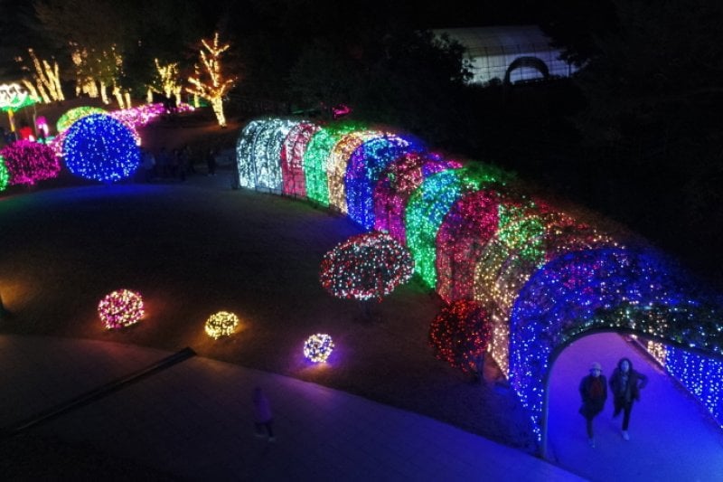 Ulsan Grand Park Light Festival  (5/8)