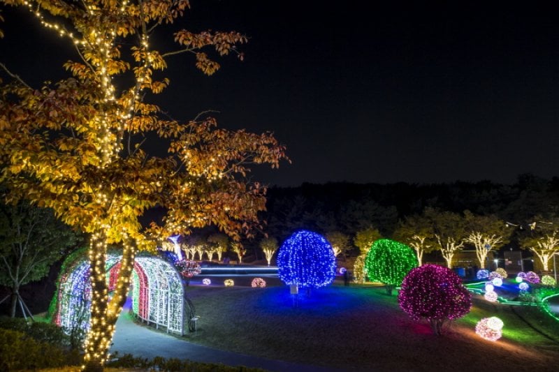 Ulsan Grand Park Light Festival  (6/8)