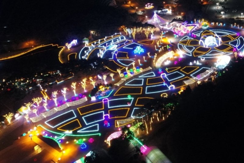 Ulsan Grand Park Light Festival  (7/8)