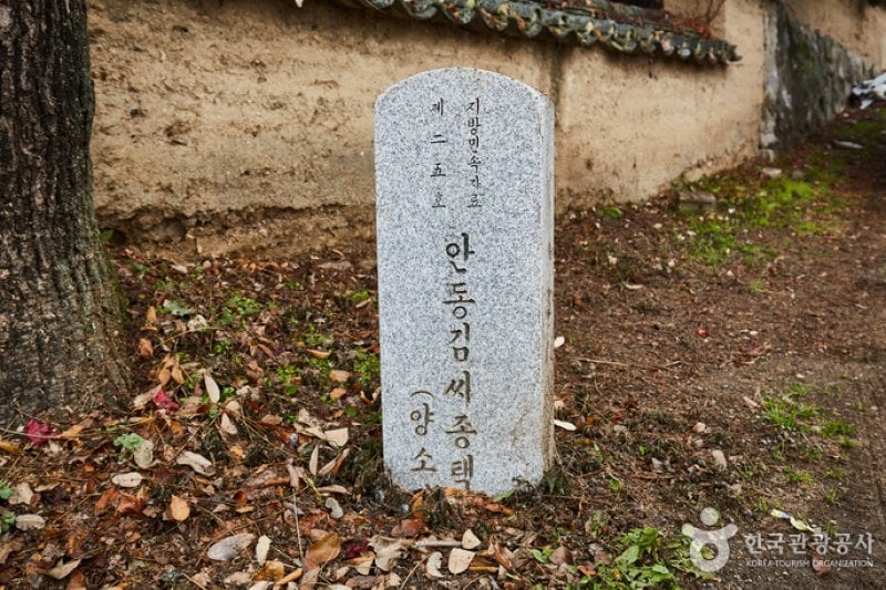 Yangsodang House (안동김씨종택 양소당)[한국관광품질인증제/ Korea Quality] (8/13)