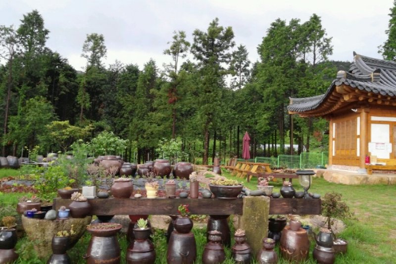 Haemaru Healing Forest (해마루 힐링숲) [한국관광품질인증/Korea Quality] (1/7)