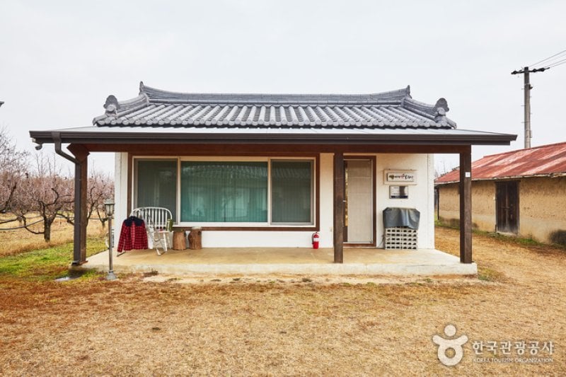 Baram Haetsal Farm(바람햇살농장)[한국관광품질인증/Korea Quality] (10/17)