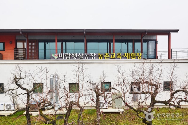 Baram Haetsal Farm(바람햇살농장)[한국관광품질인증/Korea Quality] (15/17)