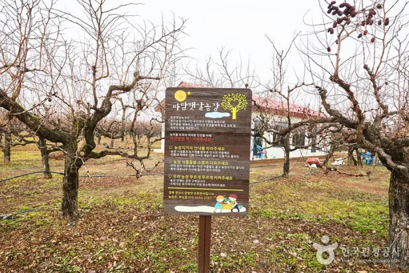 Baram Haetsal Farm(바람햇살농장)[한국관광품질인증/Korea Quality] (17/17)