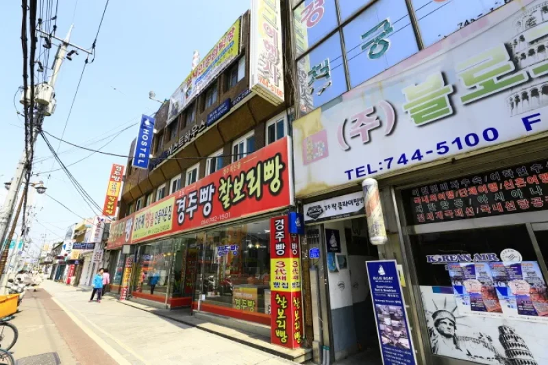 Blueboat Guesthouse Gyeongju (블루보트게스트하우스 경주점) [한국관광품질인증/Korea Quality] (1/13)