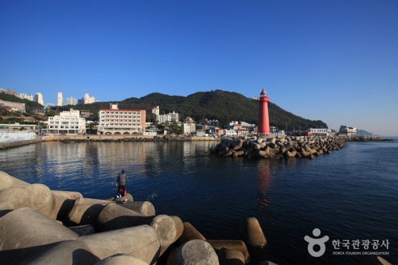 Cheongsapo Port (청사포) (1/25)