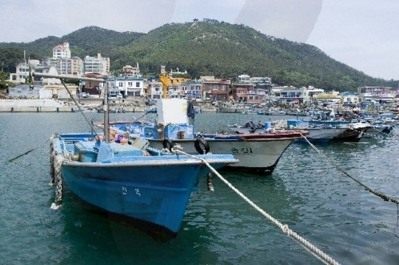 Cheongsapo Port (청사포) (2/25)