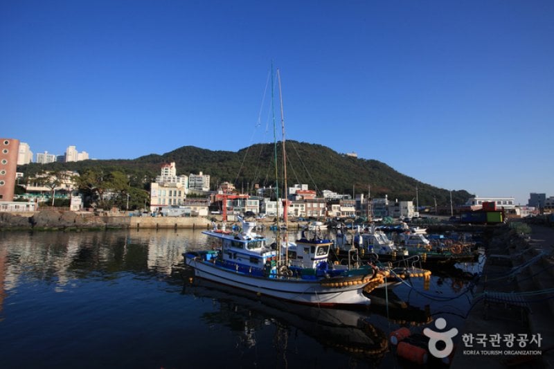 Cheongsapo Port (청사포) (4/25)