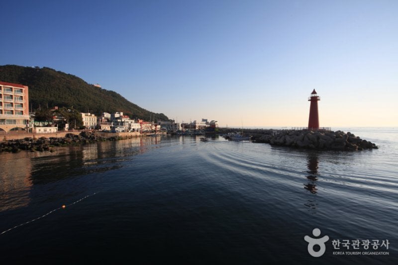Cheongsapo Port (청사포) (6/25)