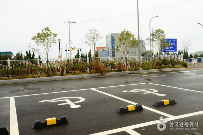 Cheongsapo Port (청사포) (8/25)