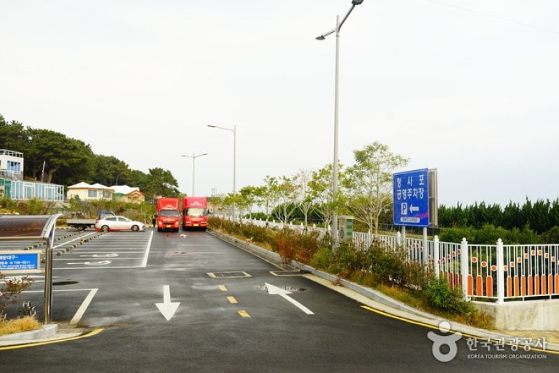 Cheongsapo Port (청사포) (9/25)
