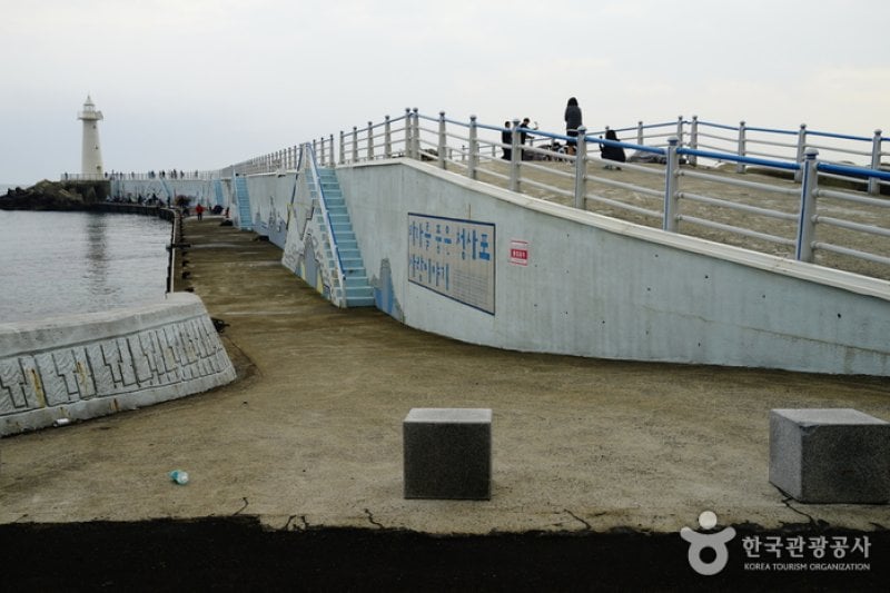 Cheongsapo Port (청사포) (15/25)