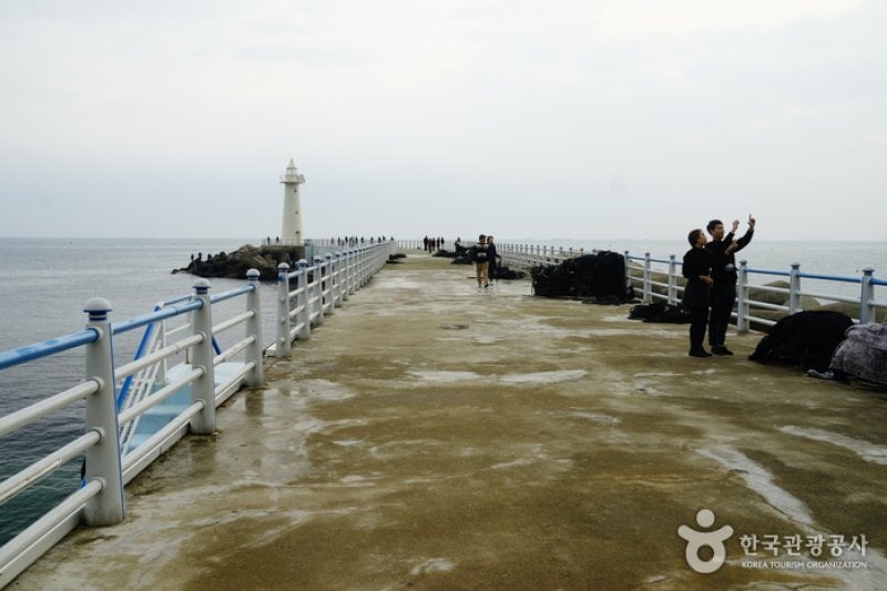 Cheongsapo Port (청사포) (17/25)