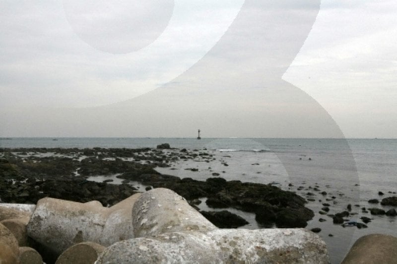 Cheongsapo Port (청사포) (18/25)
