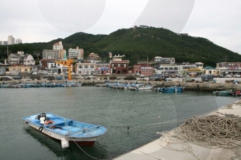 Cheongsapo Port (청사포) (19/25)