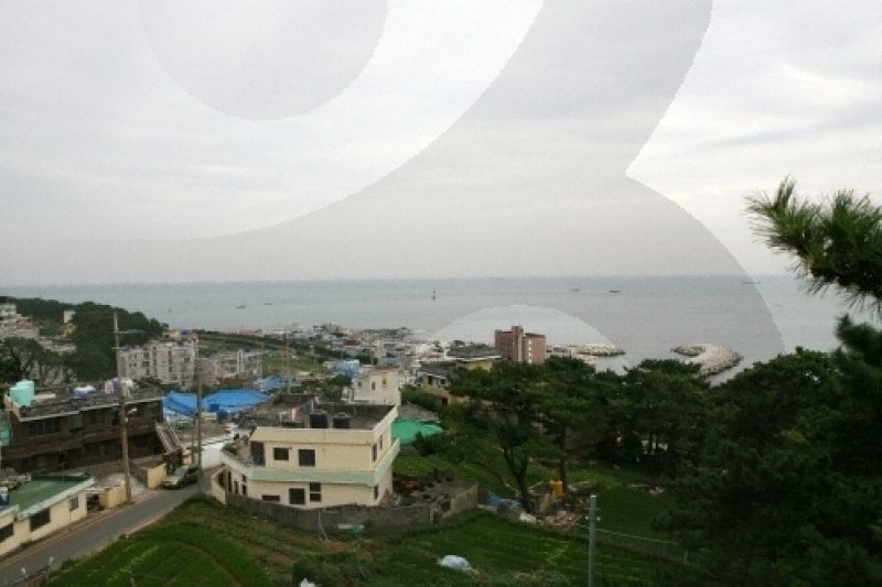 Cheongsapo Port (청사포) (22/25)