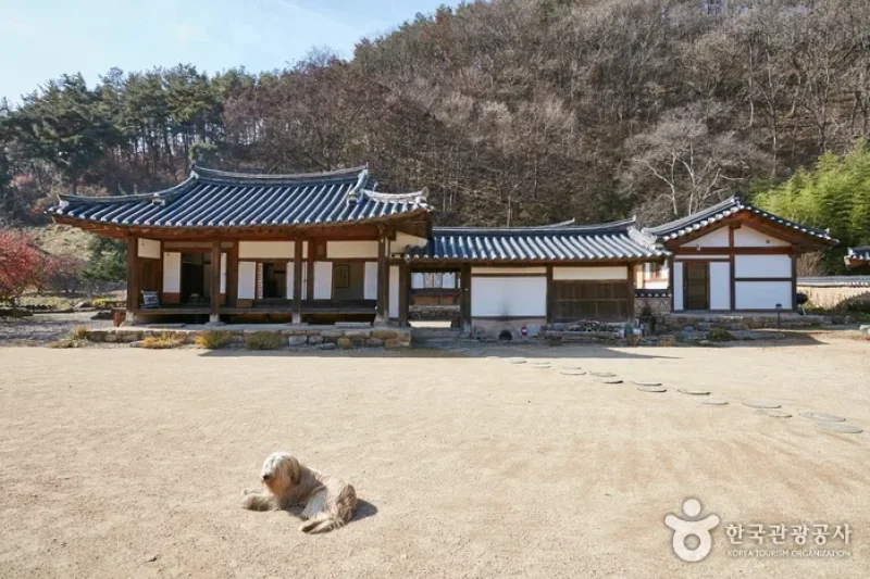 Songjeong Gotaek (The Old House of Songjeong)(송정고택)[한국관광품질인증/Korea Quality] (8/16)
