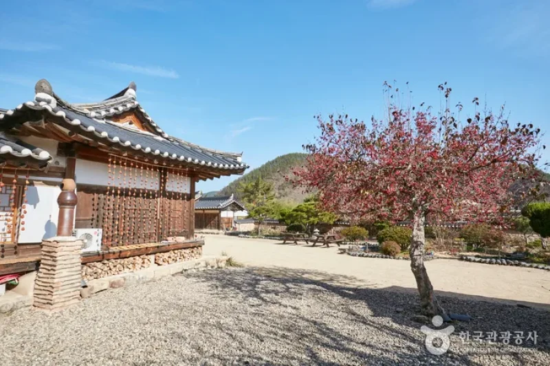 Songjeong Gotaek (The Old House of Songjeong)(송정고택)[한국관광품질인증/Korea Quality] (9/16)