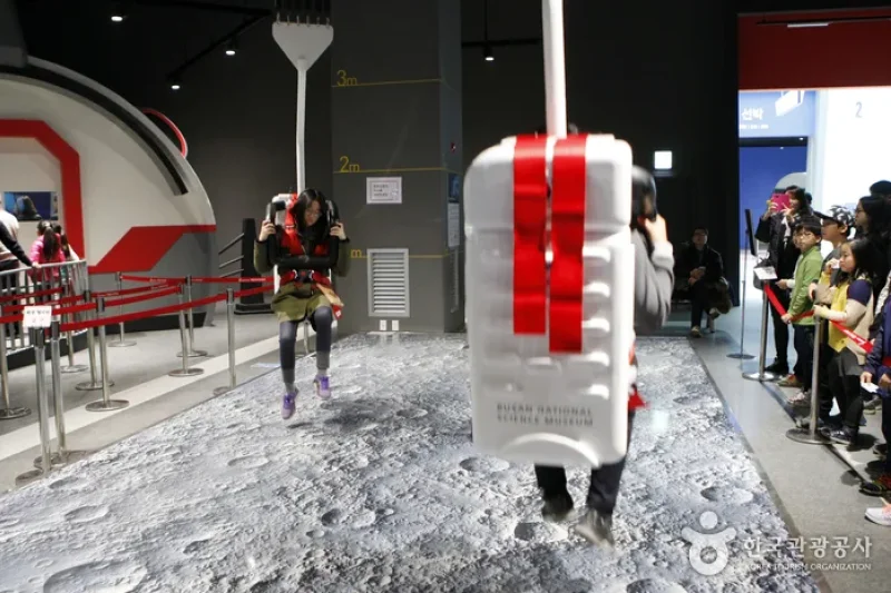 Busan National Science Museum (국립부산과학관) (4/5)