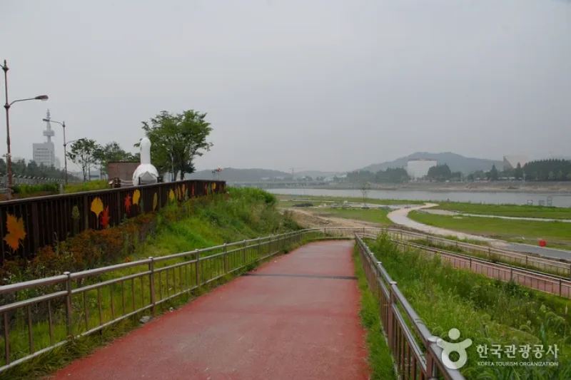 Gapcheon Stream (갑천) (3/6)